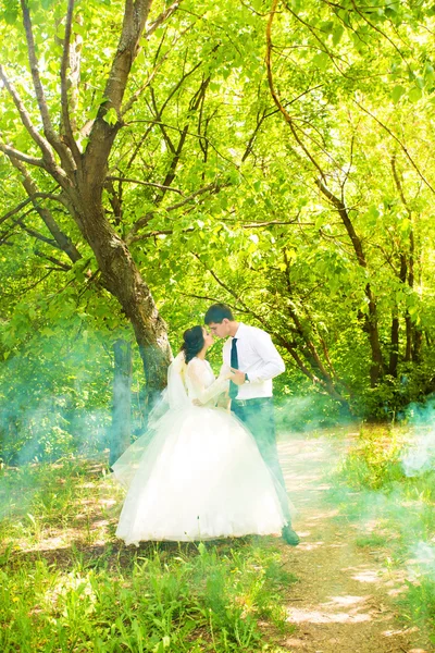 Mariage dans le parc. Brouillard — Photo