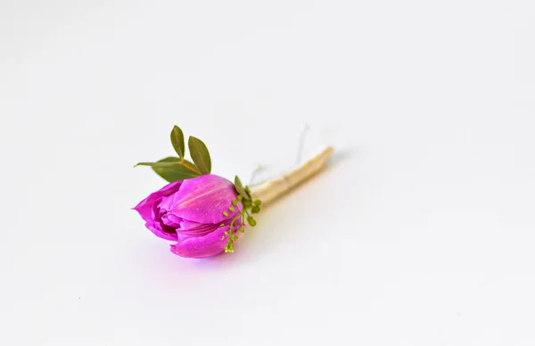 新郎の春紫チューリップ ボタンホール — ストック写真