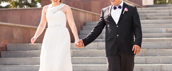 Tema de la boda, tomados de la mano recién casados — Foto de Stock