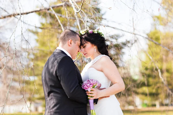 Kärleksfull brudgummen kyssa brudar pannan på bröllop promenad — Stockfoto