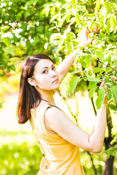 Portret van jonge mooie vrouw in lente bloesem bomen — Stockfoto