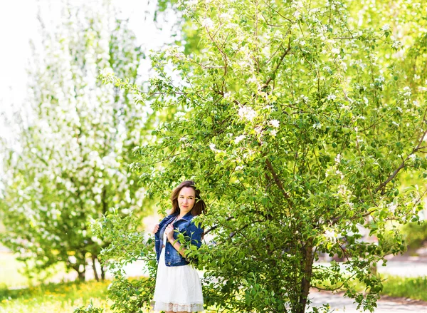 Mujer joven romántica en el jardín de primavera entre la flor de manzana . — Foto de Stock