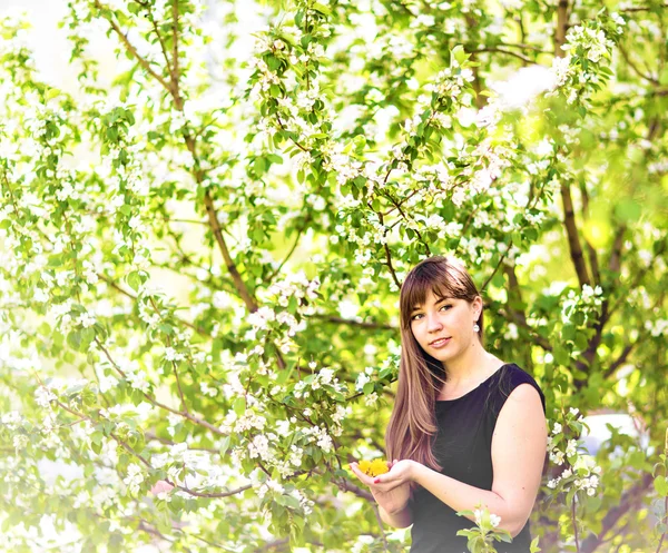 Retrato de hermosa chica con ramo de dientes de león amarillo al aire libre en primavera, se centran en los ojos, fondo de flor de manzana —  Fotos de Stock