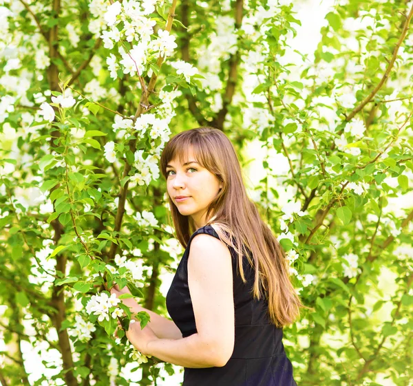 Belle jeune femme sur arbre à fleurs blanches, portrait de printemps en plein air — Photo