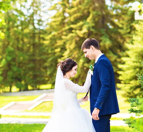 Sposa felice e sposo il giorno del loro matrimonio — Foto Stock