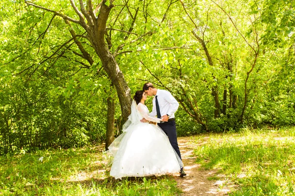 Noiva feliz e noivo em seu dia do casamento — Fotografia de Stock