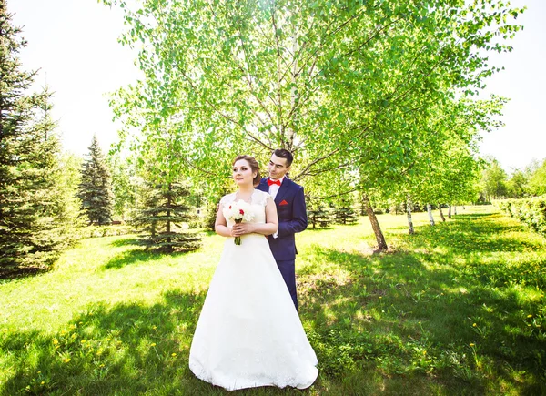 Feliz novia y novio en el día de su boda — Foto de Stock