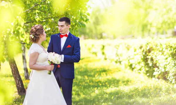 Lycklig brud och brudgum på deras bröllopsdag — Stockfoto