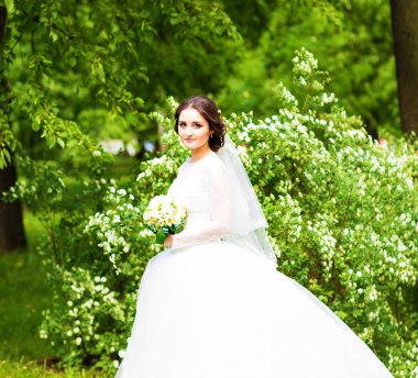 Bahar çiçeği Bahçe güzel gelin