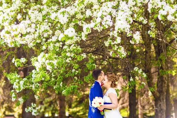 Gli sposi nella natura primaverile con alberi in fiore — Foto Stock