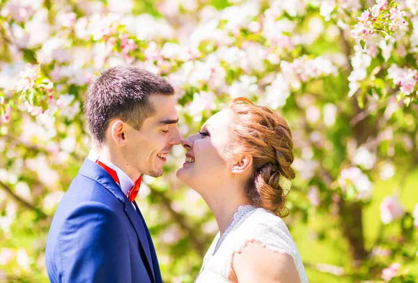 La novia y el novio besándose en la naturaleza de primavera con árboles florecientes — Foto de Stock