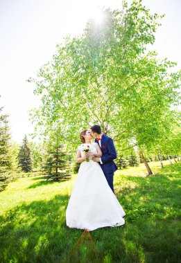 parkta güzel düğün çifti. öp ve birbirlerine sarılmak