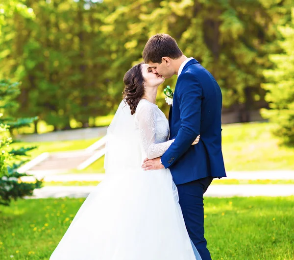 Beautiful wedding couple in park. They kiss and hug each other — Stock Photo, Image