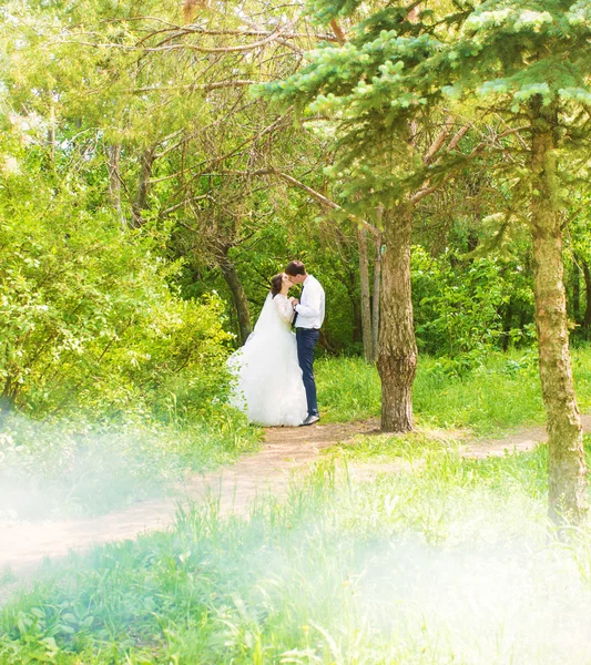 Весілля, красиві романтичний наречений і наречена поцілунки і, обнявши — стокове фото