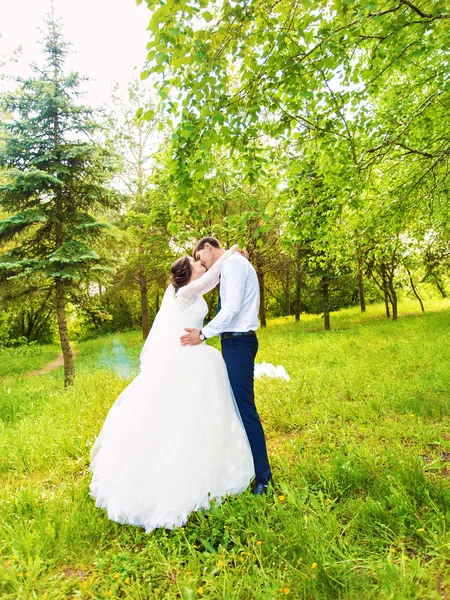 Прекрасная свадебная пара в парке. Они целуются и обнимаются. — стоковое фото