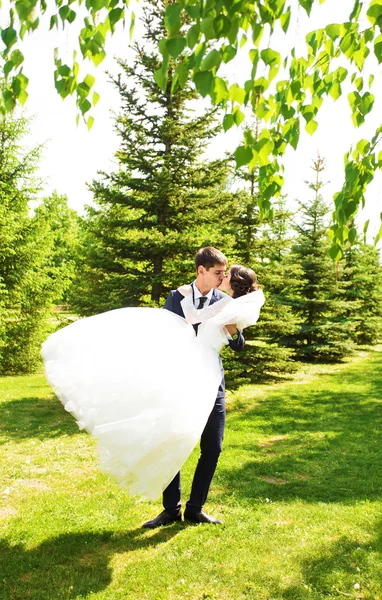 Casamento, bela noiva romântica e noivo Beijar e abraçar — Fotografia de Stock