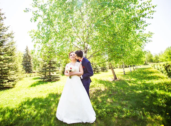 Schönes Hochzeitspaar im Park. sie küssen und umarmen sich — Stockfoto