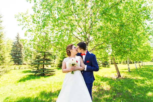 Bröllop, vackra romantiska brudparet kyssas och omfattar — Stockfoto