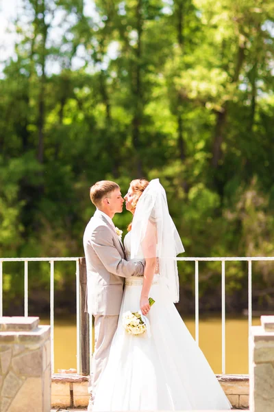 Mariage, Belle mariée romantique et marié embrasser et embrasser — Photo