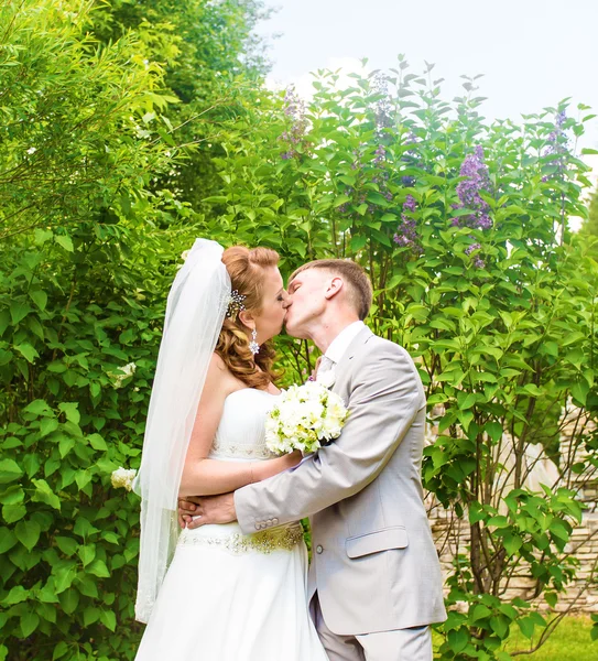 Γάμος, όμορφο ρομαντικό νύφη και ο γαμπρός φιλί και αγκαλιάζει — Φωτογραφία Αρχείου