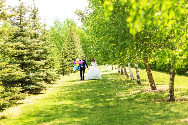 Novia y novio en el día de la boda caminando al aire libre en la naturaleza de primavera. Pareja nupcial, feliz mujer recién casada y hombre abrazándose en el parque verde. Amar pareja de boda al aire libre —  Fotos de Stock