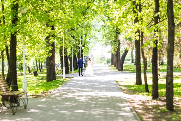 Bride and Groom at wedding Day walking Outdoors on spring nature. Bridal couple, Happy Newlywed woman and man embracing in green park. Loving wedding couple outdoor — Stock Photo, Image