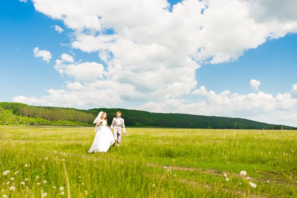 Élégants mariés à l'extérieur le jour du mariage — Photo