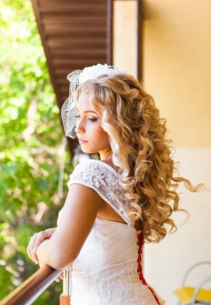 Svatba. krásná nevěsta — Stock fotografie