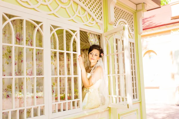 Noiva de beleza em vestido de noiva com buquê e véu de renda sobre a natureza. Menina modelo bonita em um vestido de noiva branco. Retrato feminino no parque. Mulher com penteado. Bonita senhora ao ar livre — Fotografia de Stock