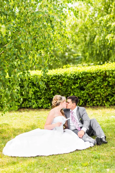 Düğün, güzel romantik gelin ve damat öpüşme ve kucaklayan. — Stok fotoğraf