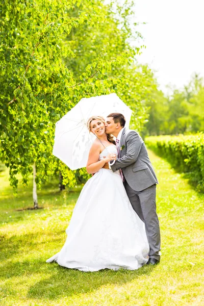 Bröllop, vackra romantiska brudparet kyssas och omfattar. — Stockfoto