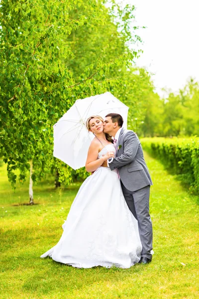 Noivo beijando noiva em seu dia do casamento — Fotografia de Stock