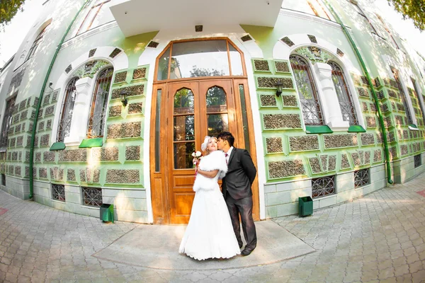 Wedding pair hugging and kissing — Stock Photo, Image