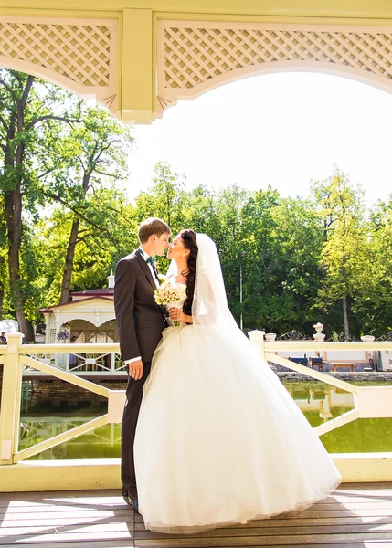 Noivo beijando noiva em seu dia do casamento — Fotografia de Stock