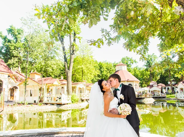 Boda, hermosa novia romántica y novio besos y abrazos . —  Fotos de Stock