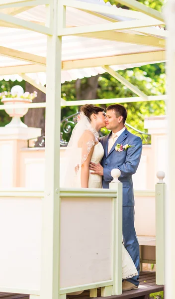 新郎の結婚式の日に花嫁にキス — ストック写真