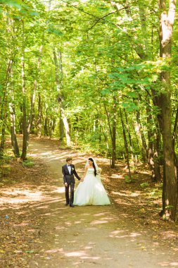 Gelin ve damat, düğün günü açık havada yürüyüş Doğa bahar. mutlu yeni evli kadın ve erkek yeşil park kucaklayan gelin çift. sevgi dolu evlilik çift açık