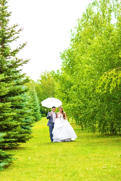 Hermosa pareja de boda está disfrutando de la boda —  Fotos de Stock