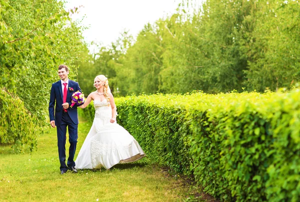 Noiva e noivo no dia do casamento andando ao ar livre na natureza de primavera. Casal nupcial, mulher recém-casada feliz e homem abraçando no parque verde. Casal de amor ao ar livre — Fotografia de Stock