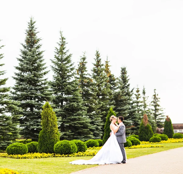 Novia y novio —  Fotos de Stock