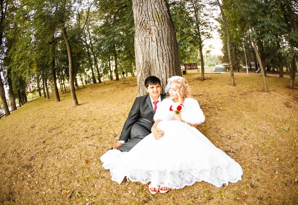 Hermosa pareja de boda está disfrutando de la boda — Foto de Stock