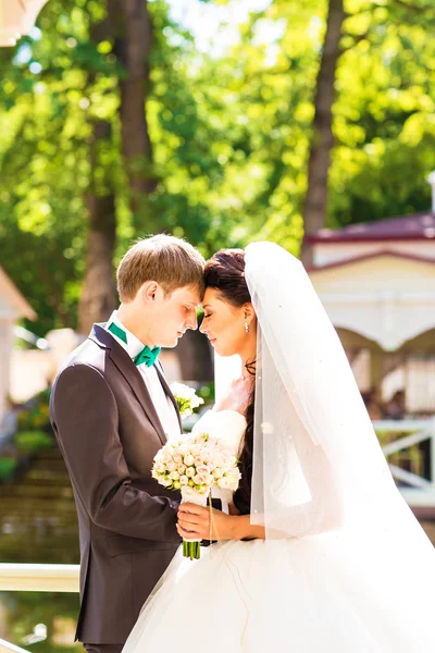 Casamento bonito, marido e mulher, amantes homem mulher, noiva e noivo — Fotografia de Stock