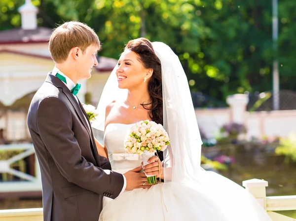 Piękny ślub, mąż i żona, miłośników człowiek kobieta, panny młodej i pana młodego — Zdjęcie stockowe