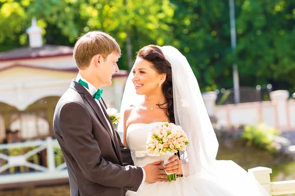 Giovane coppia di nozze godendo momenti romantici — Foto Stock