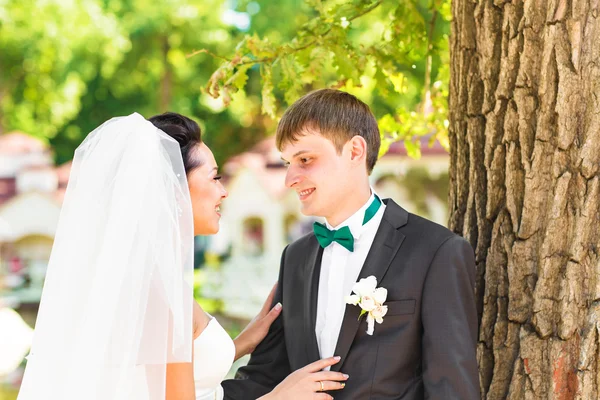 Gyönyörű házaspár élvezi az esküvőt. — Stock Fotó