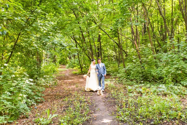 Casamento de noiva e noivo com lindo verão cão branco ao ar livre — Fotografia de Stock