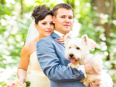 Gelin ve damat ile güzel beyaz düğün yaz açık köpek