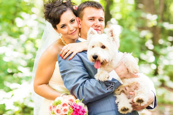 Braut und Bräutigam Hochzeit mit Hund Sommer im Freien — Stockfoto