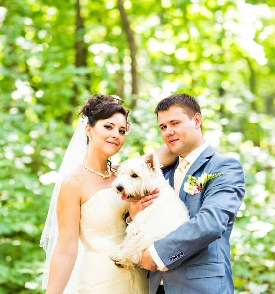 Bruid en bruidegom bruiloft met hond zomer buiten — Stockfoto