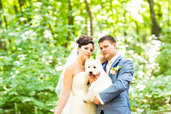 Braut und Bräutigam Hochzeit mit Hund Sommer im Freien — Stockfoto